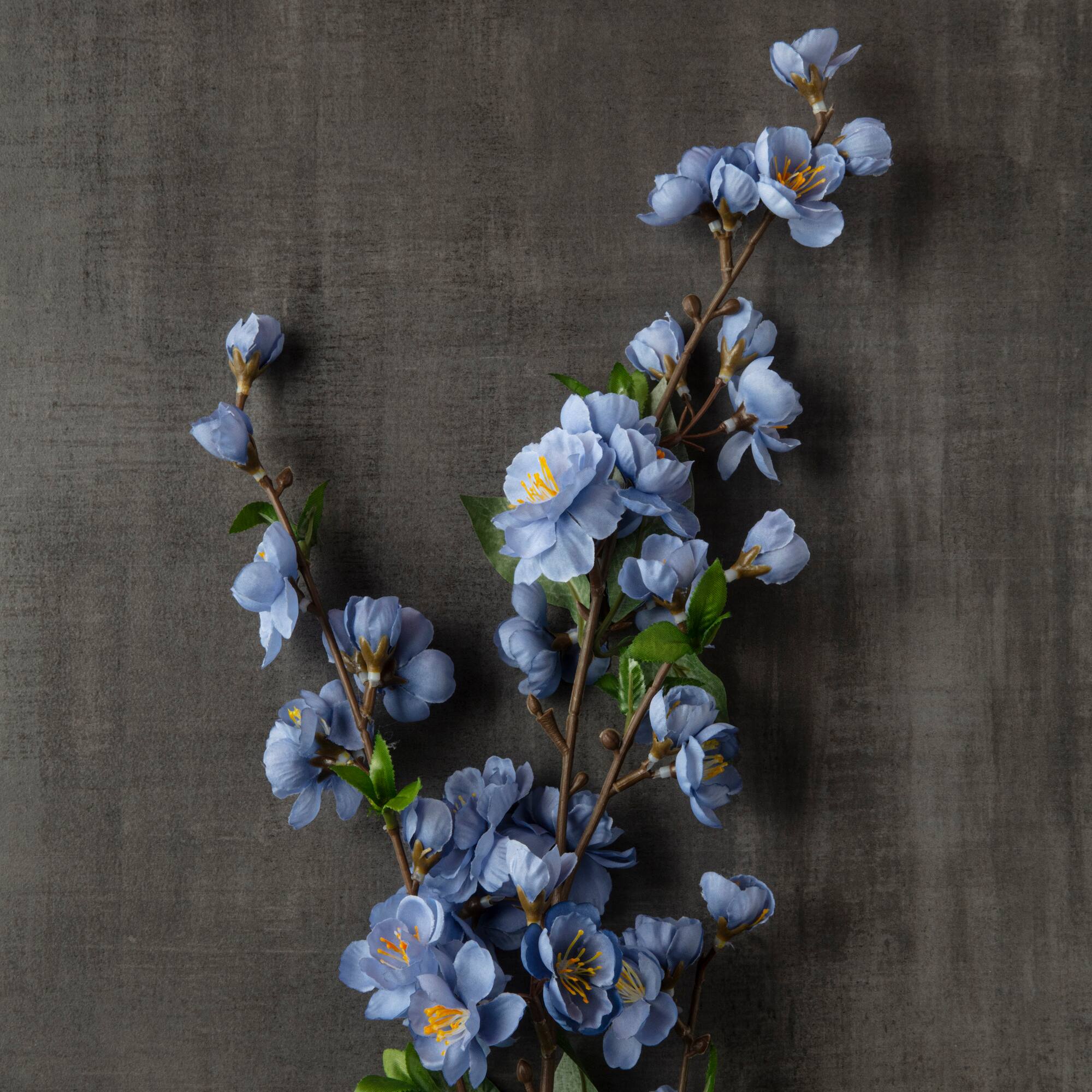 12 Pack: Blue Blossom Spray by Ashland®